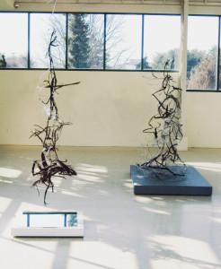 157 jdv2 Gallery View  12MB