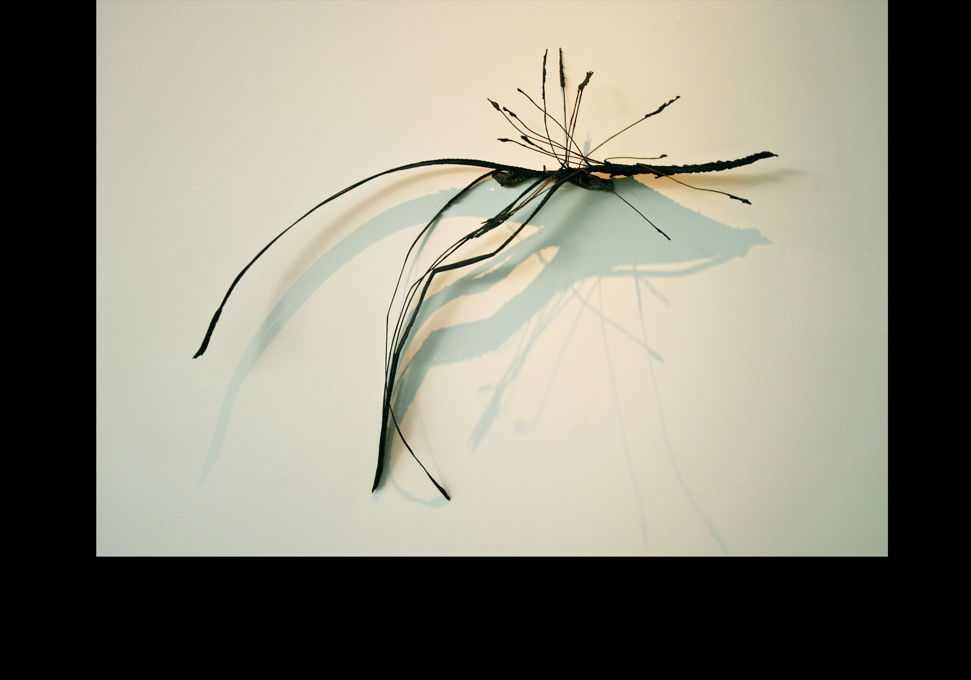 Flying Fish